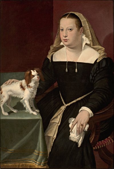 Portrait of a Lady with a Dog by Bartolomeo Passarotti